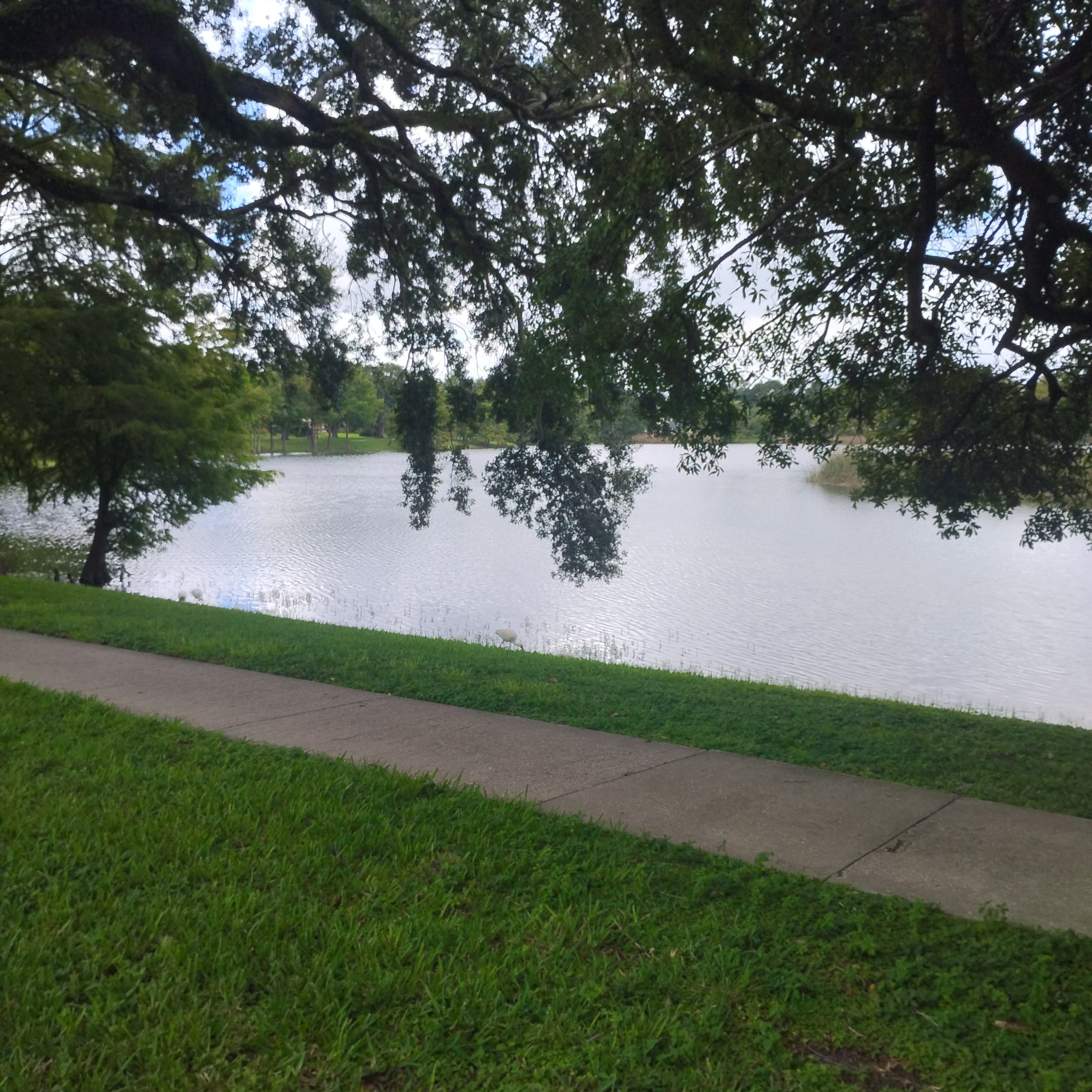 lake